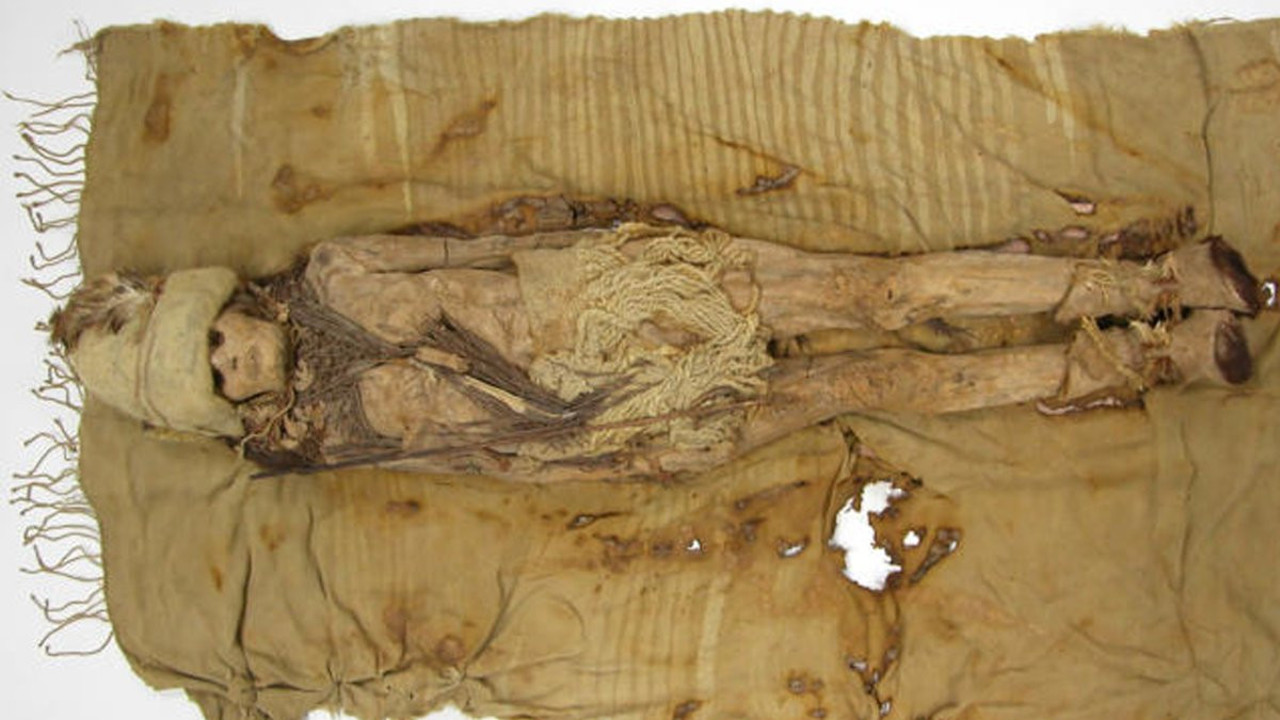 3600 yıllık peynir mumyalardan çıktı! İşin uzmanları değerlendirdi