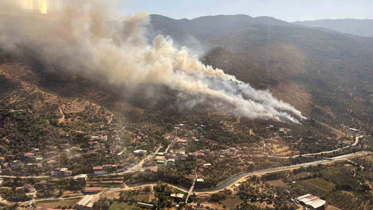 Aydın’da orman yangını (6 Temmuz 2025)