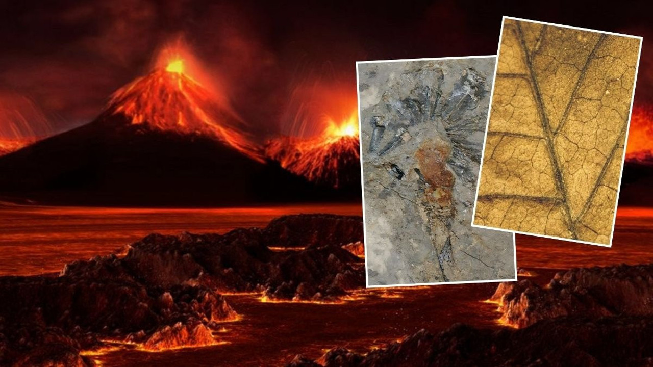 Büyük Yok Oluş'un sır perdesi fosillerle aralandı: Gelecek hakkındaki tahminler korkuttu