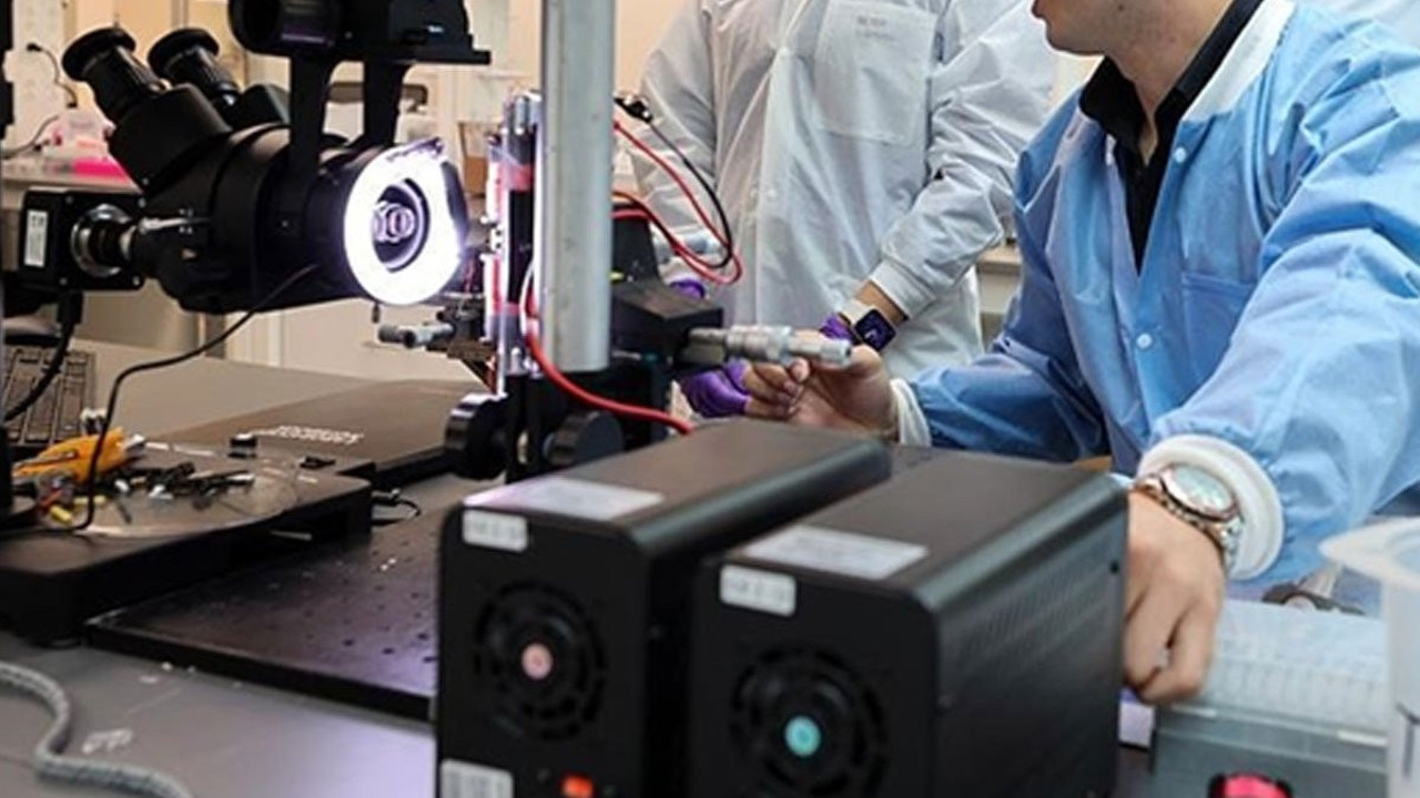 Müthiş Türkler kanser tedavisinde çığır açacak! Küba'daki uygulamalara benziyor! O hayvanın zehriyle şifa dağıtacaklar