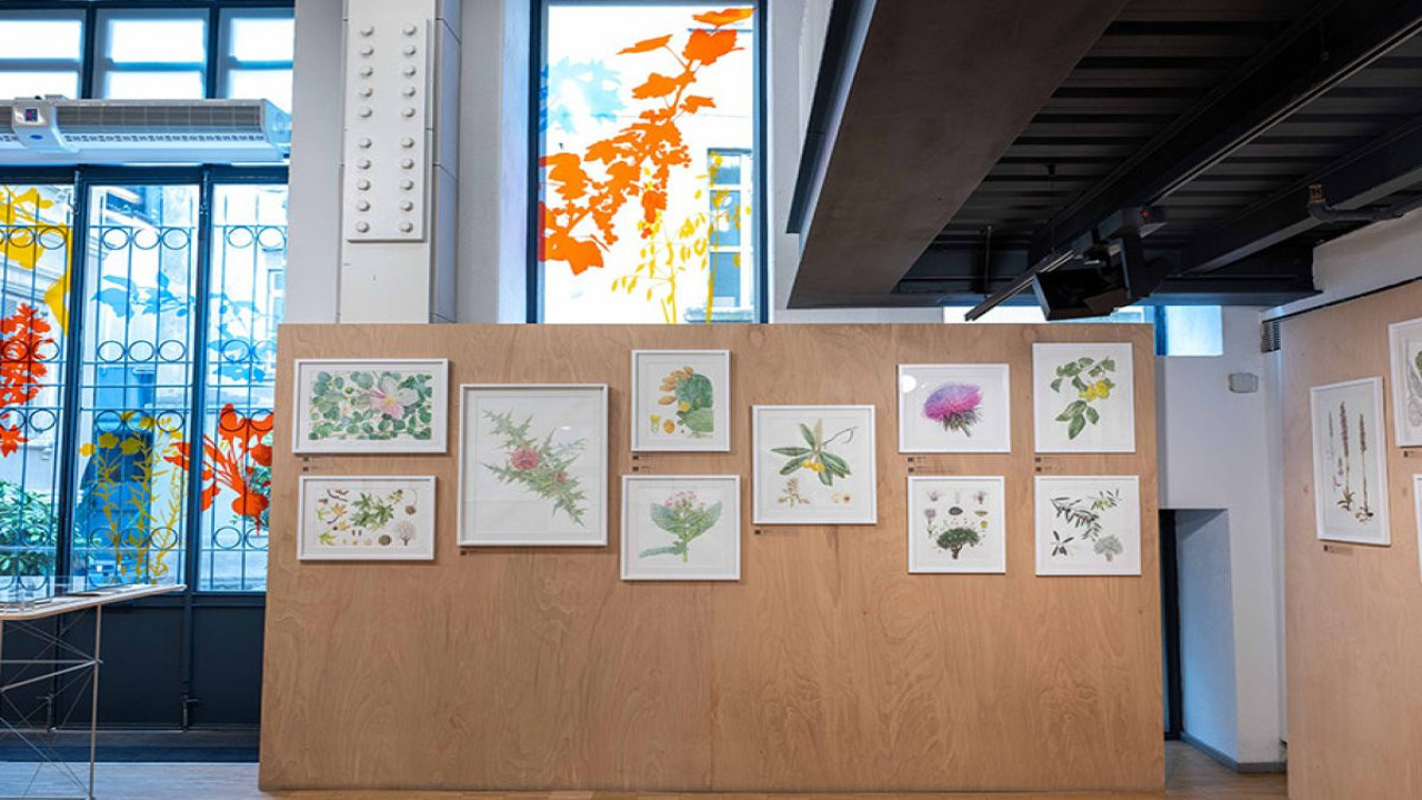 Anadolu’nun Gizli Hazinesi: Bitki Mirası Sergisi