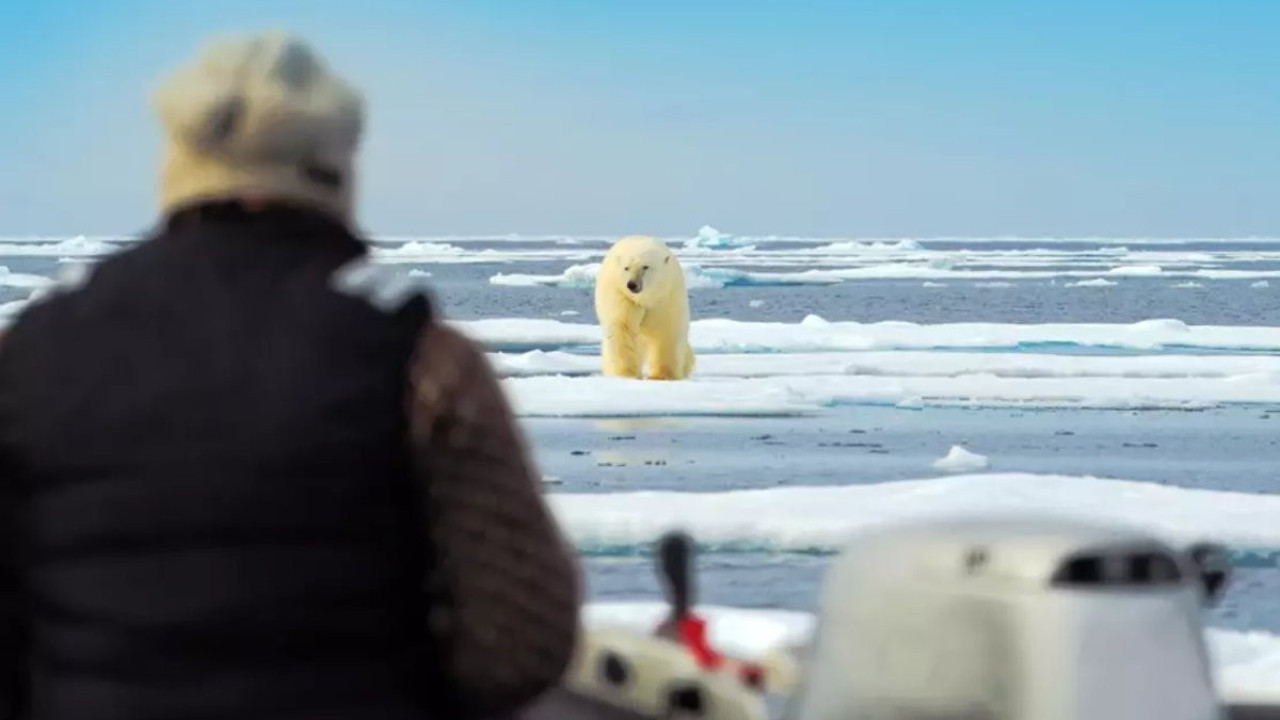 Kutup ayılarıyla omuz omuza olan bir kasabanın çarpıcı hikayesi