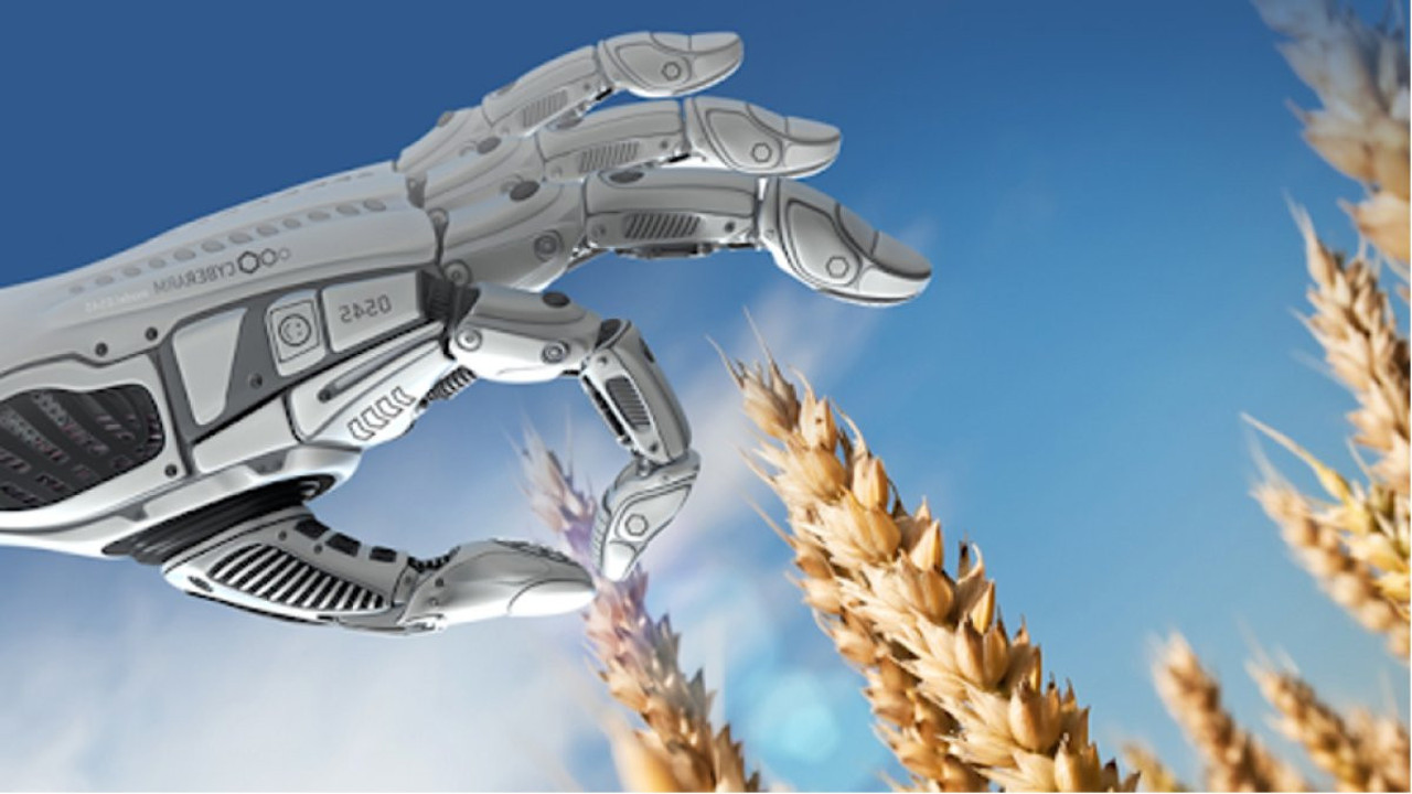 Yapay zeka, tarımı sessizce dönüştürüyor! Teknoloji toprakla buluşuyor