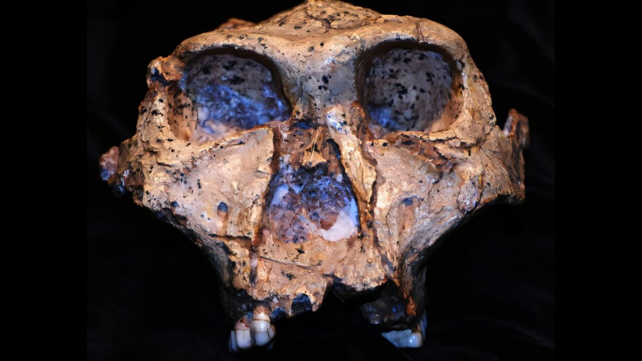 Arkeologlardan 2 milyon yıllık keşif: İnsanlık tarihinde önemli bir halka daha gün yüzüne çıktı