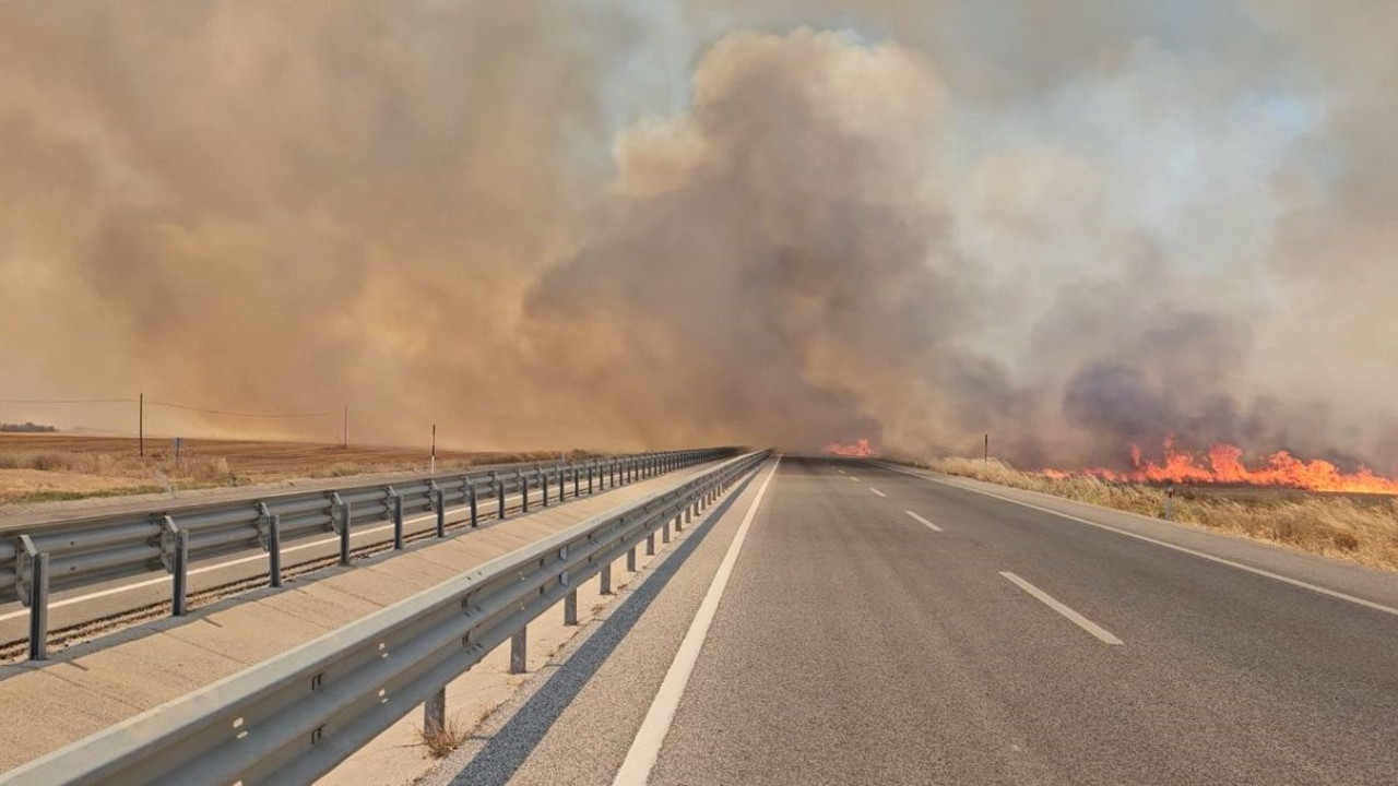 Edirne'de anız yangını yola sıçradı!