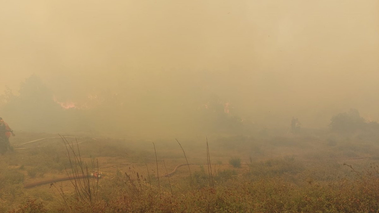Kocaeli'de orman yangını