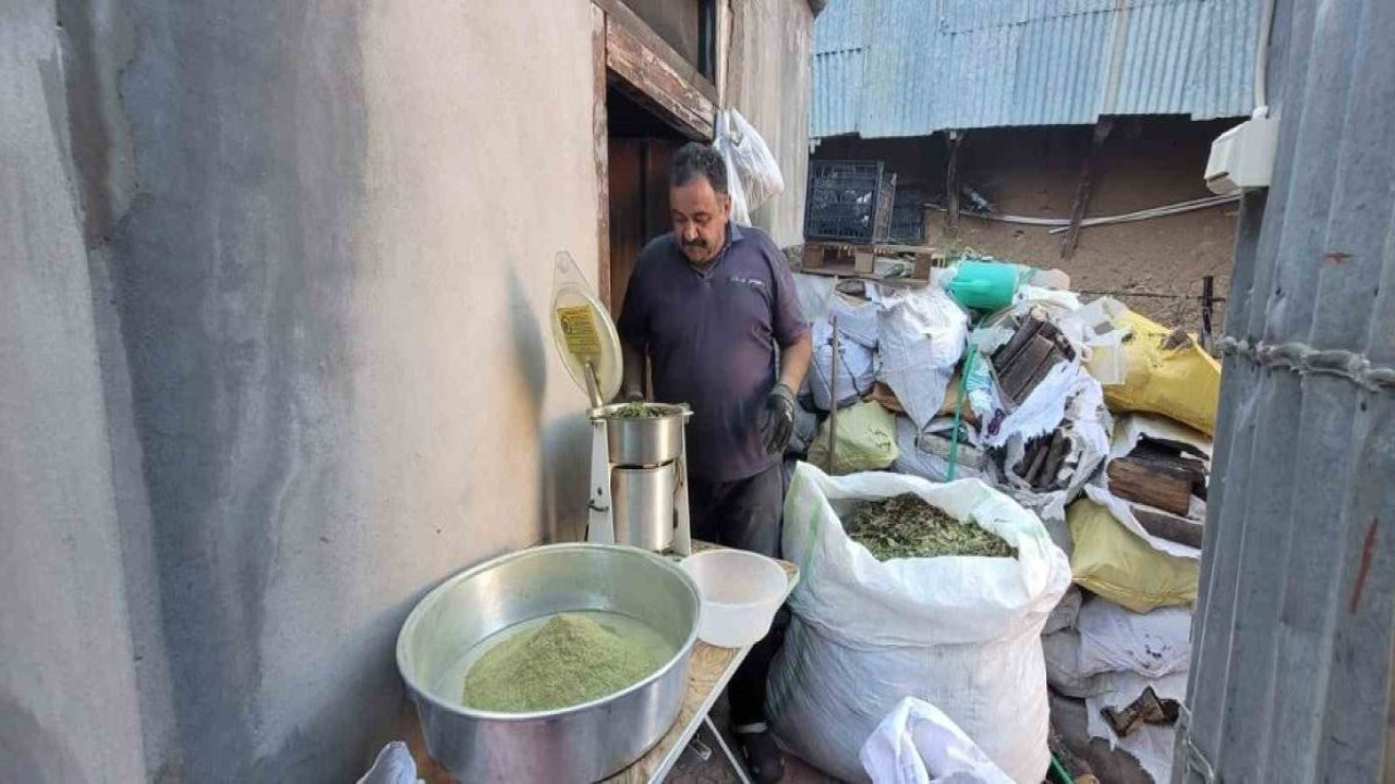 120 çeşit bitkinin karışımıyla elde ediliyor! Bağışıklık sistemini güçlendiriyor