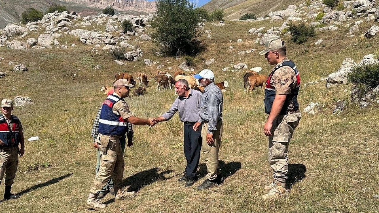 Günlerdir kayıplardı: 17 büyükbaş hayvan bulundu