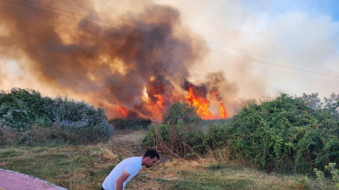 Bursa’da çiftlikte çıkan yangın 3 yere sıçradı