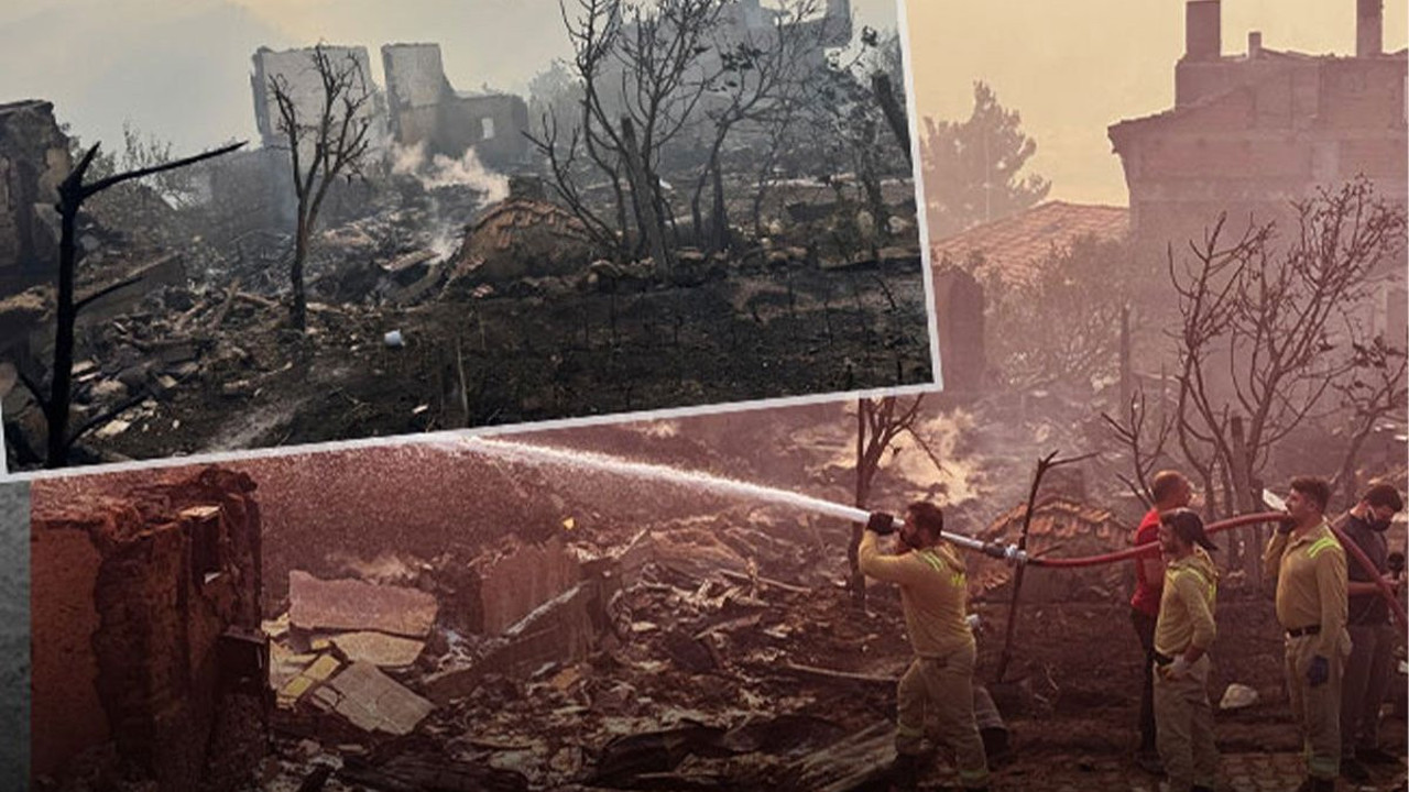 Sakarya'da yangın kabusu devam ediyor! Acı tablo gün ağarınca ortaya çıktı