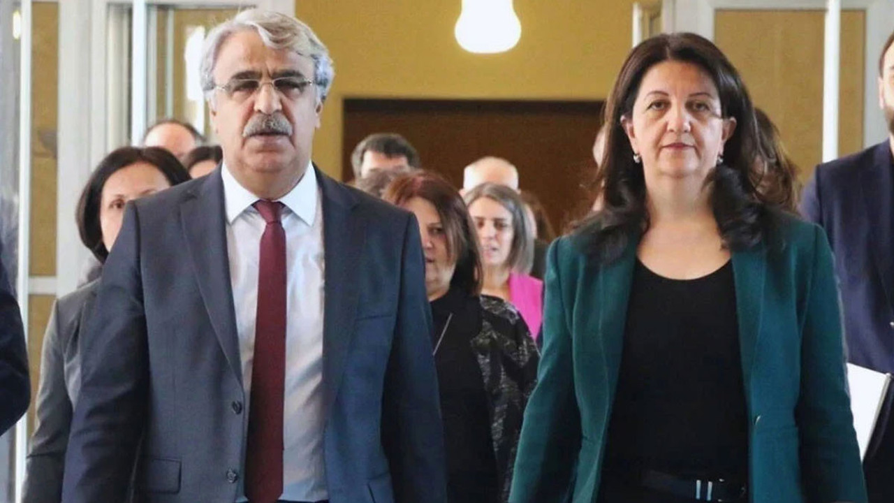 DEM'den İmralı'ya bir ziyaret daha