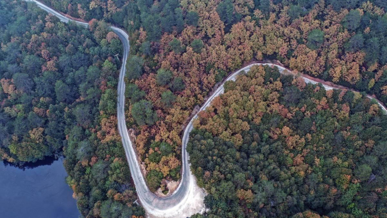 Yalova'da ormanlara girişler yasaklandı