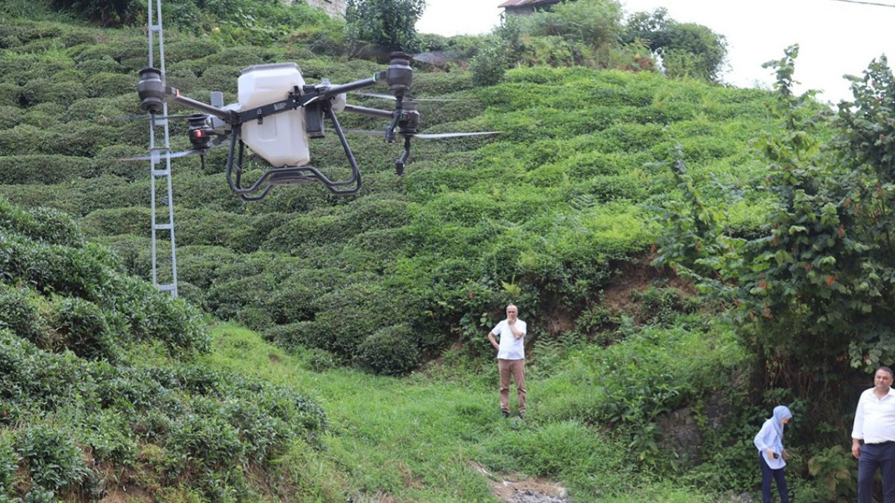 Rizeli pratik zekasıyla hayran bıraktı! Dron ile çay bahçesine su servisi