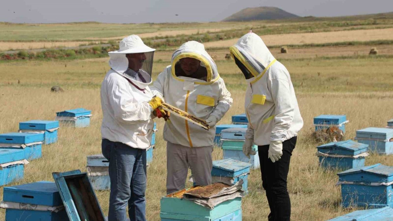 Kars'ta arıcılar umutlu! 2025’te rekor bekleniyor