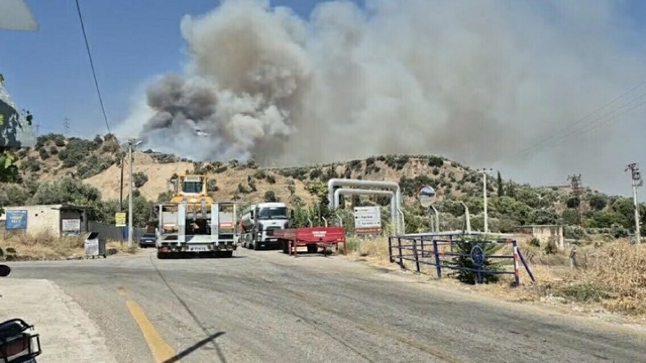 Aydın’da tarım arazisinde yangın