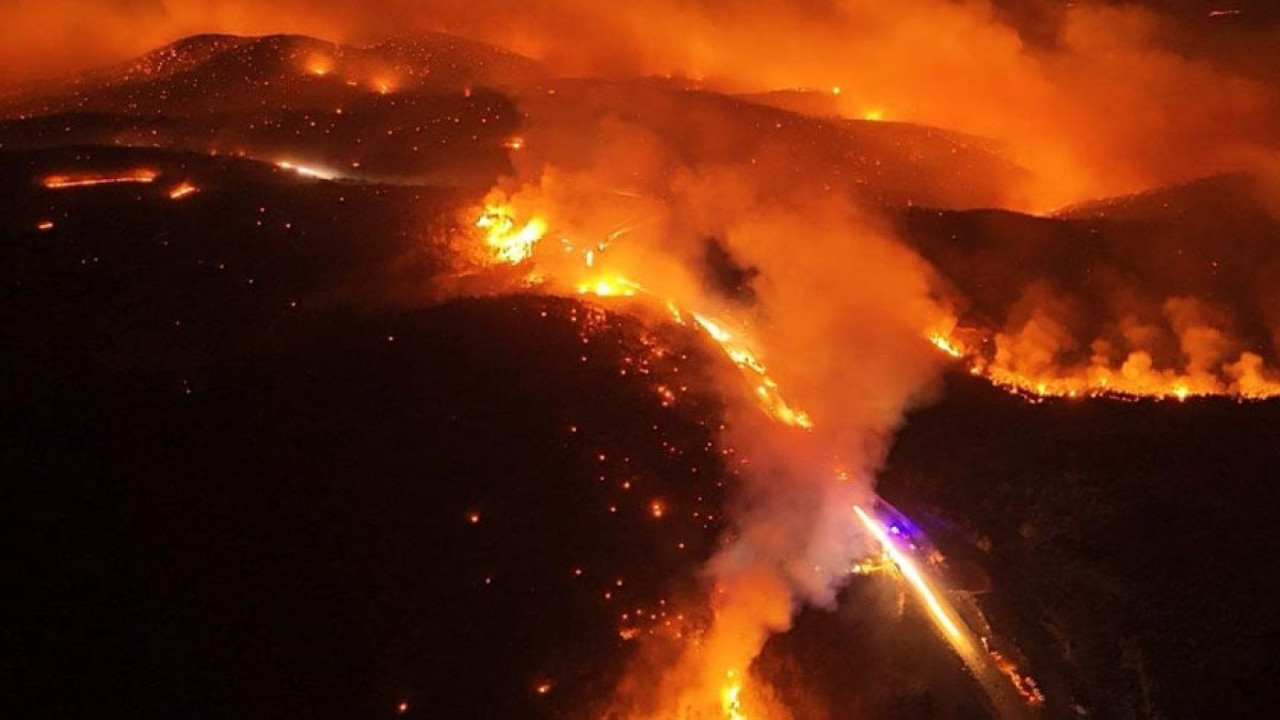 Bursa'daki yangına ilişkin skandal iddia! Ormana benzin dökülerek ateşe verildi