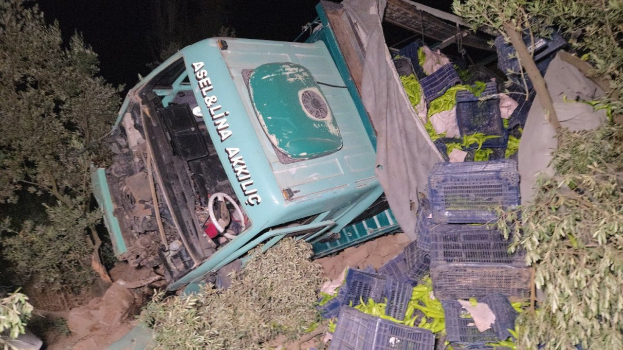 Zeytinliğe uçan kamyonda sıkışan sürücü yaralandı