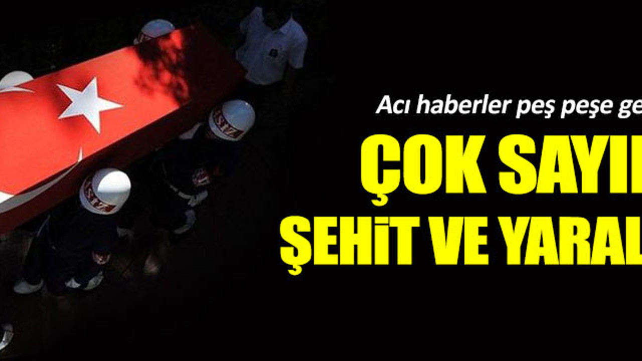 Siirt ve Hakkari'de çok sayıda şehit var!