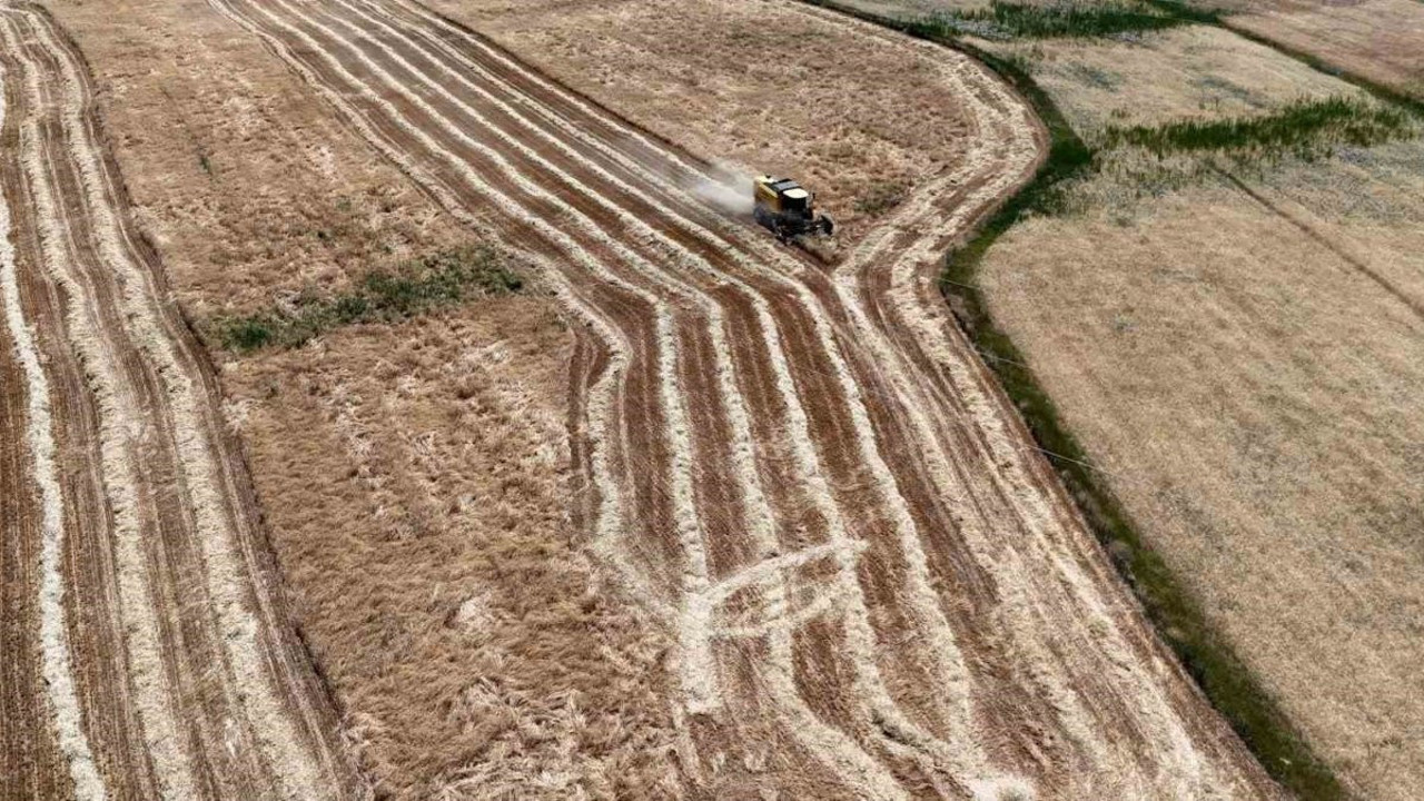 Hasat başladı, çiftçinin yüzü güldü