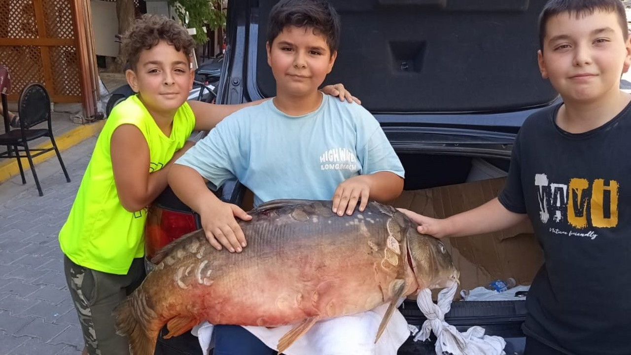 Amatör balıkçının oltasına takıldı: Dev sazan Hayrabolu’yu salladı!