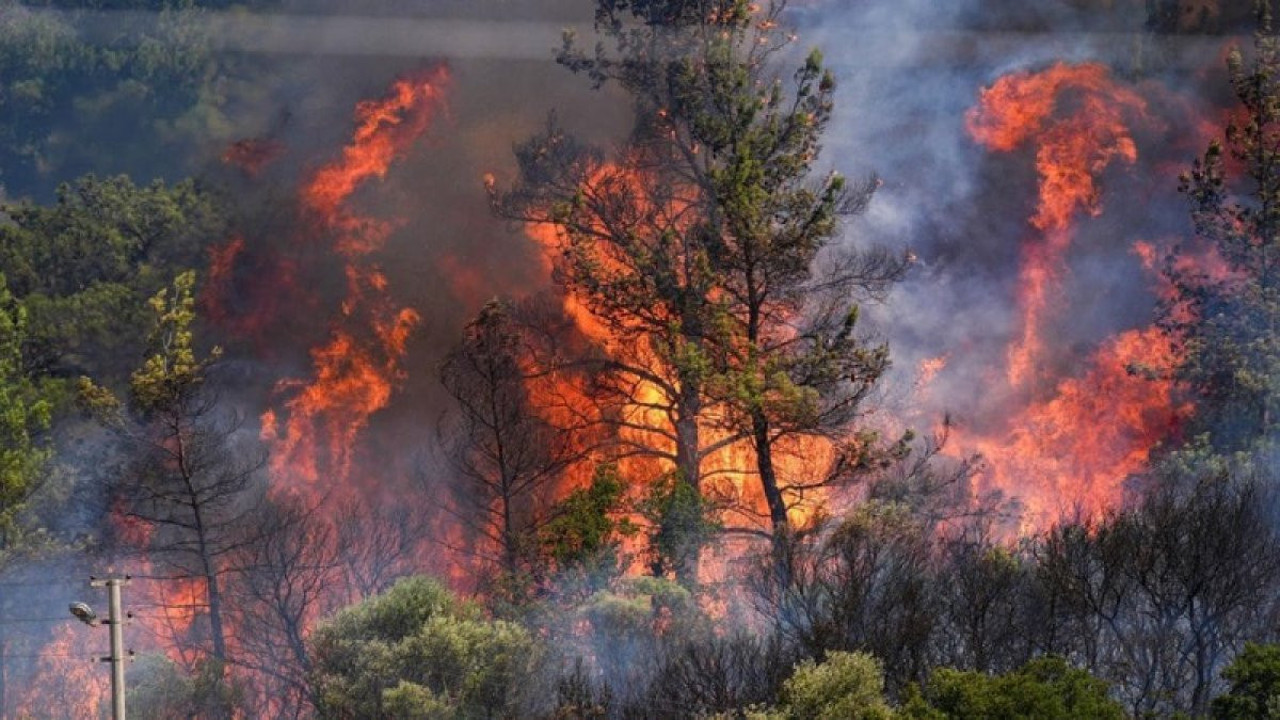 Türkiye’nin dört bir yanındaki orman yangınlarıyla ilgili uzmanlardan hayat kurtaran uyarılar