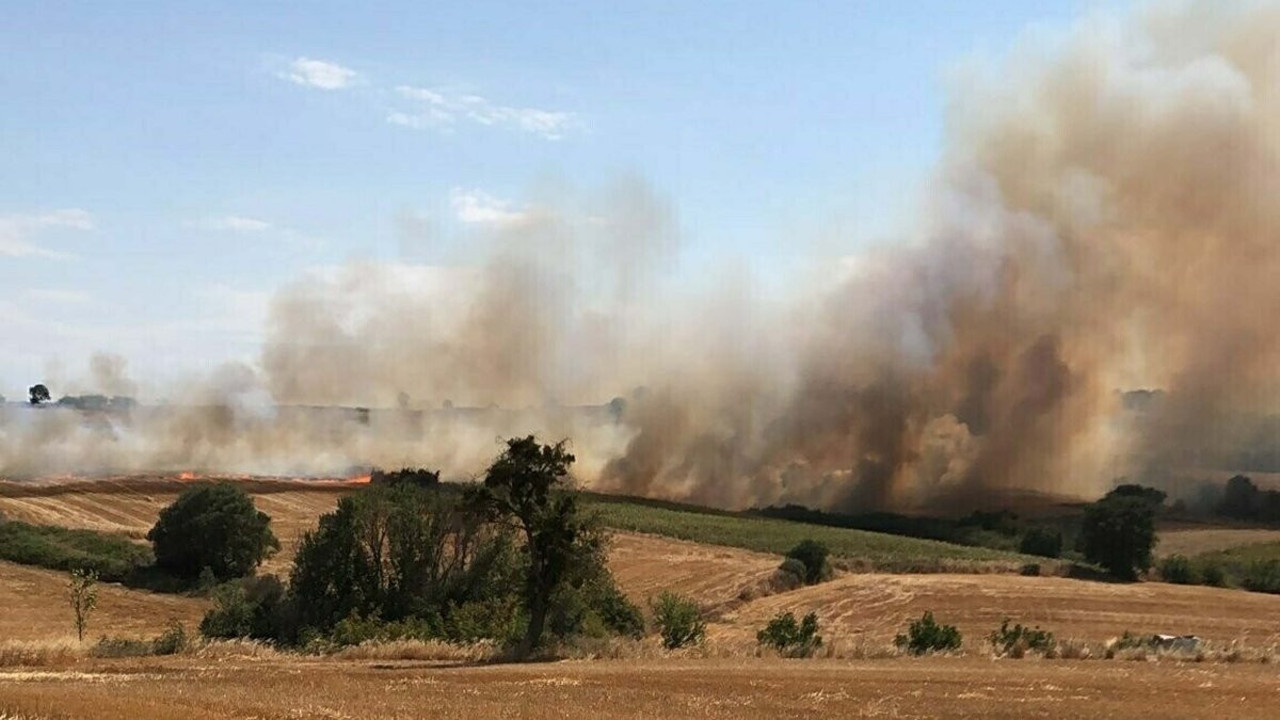 Çanakkale'de tarım arazisinde yangın