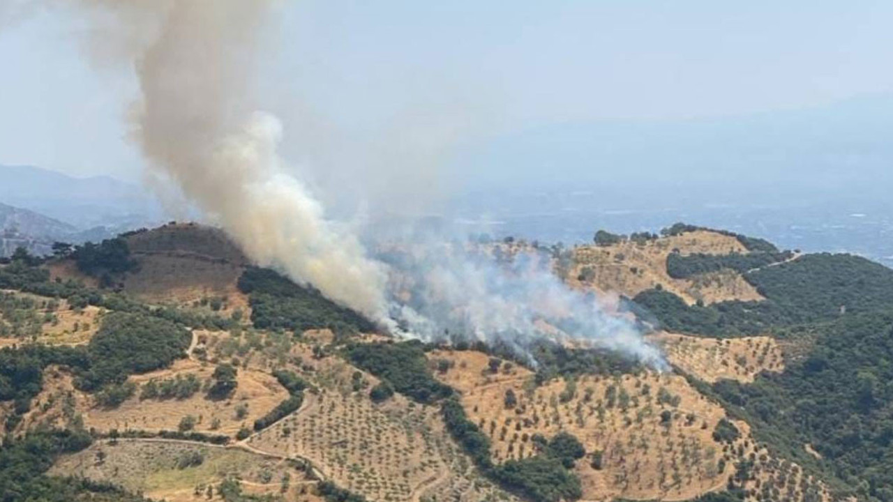 Aydın'daki yangın kontrol altına alındı