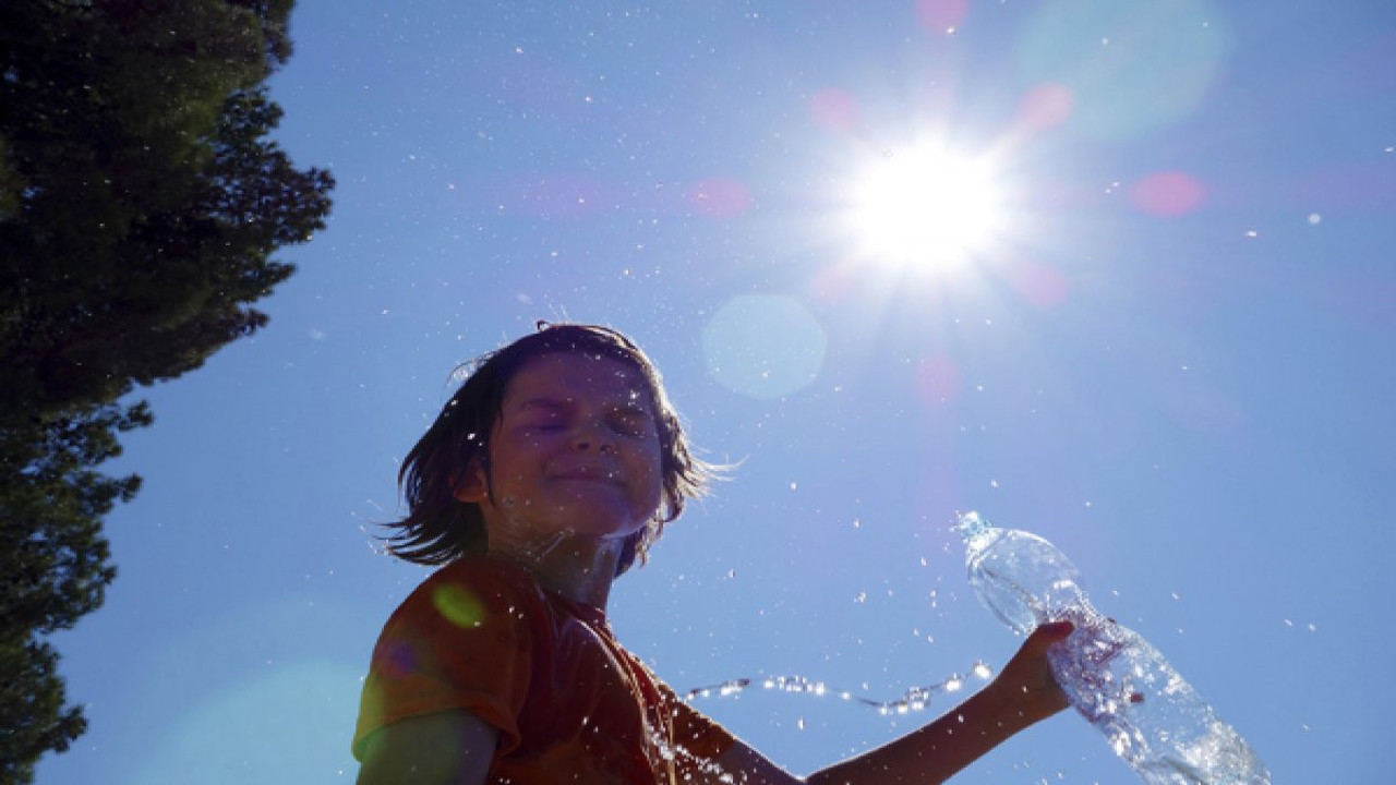 Sıcak ve nemin gölgesinde yükselen mantar salgını tehlikesi