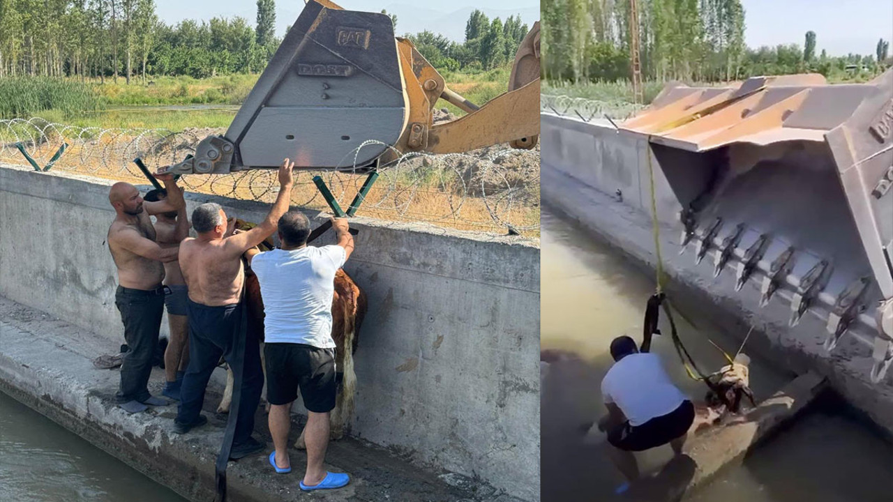 Dana kurtarma operasyonu