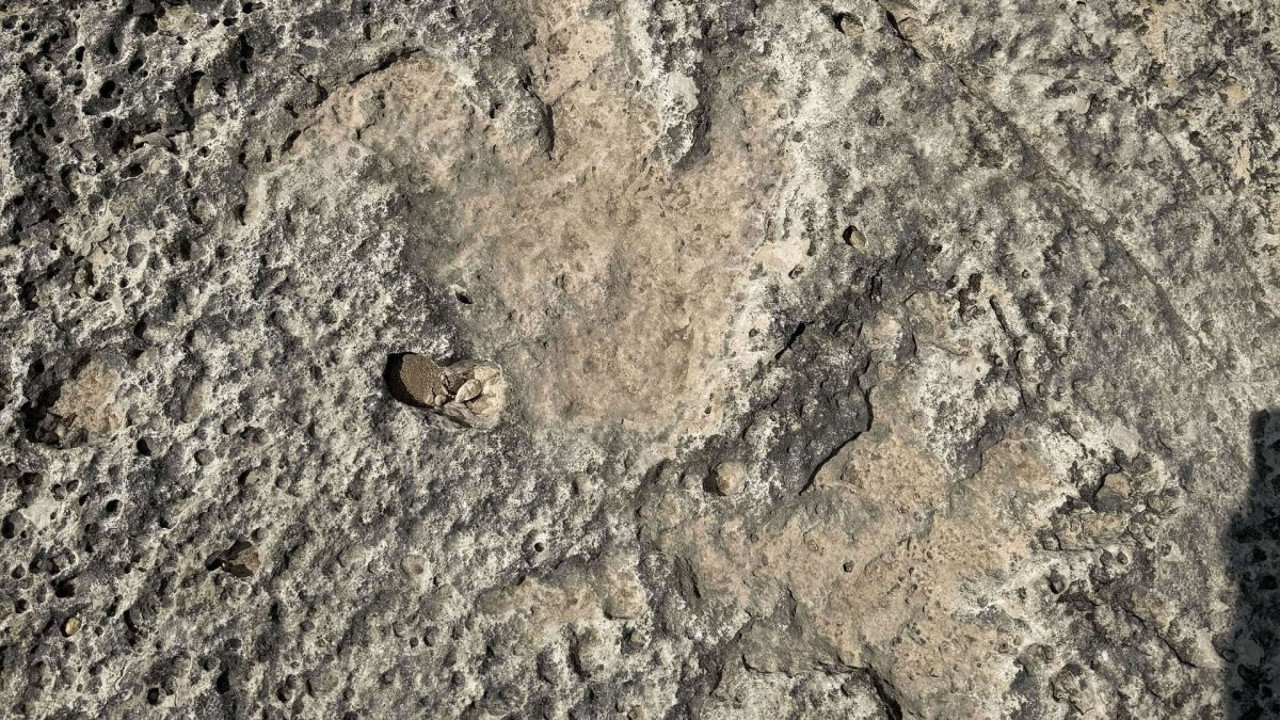 Sel felaketi tarih yazdı: 115 milyon yıllık izler arkeoloji dünyasını heyecanlandırdı