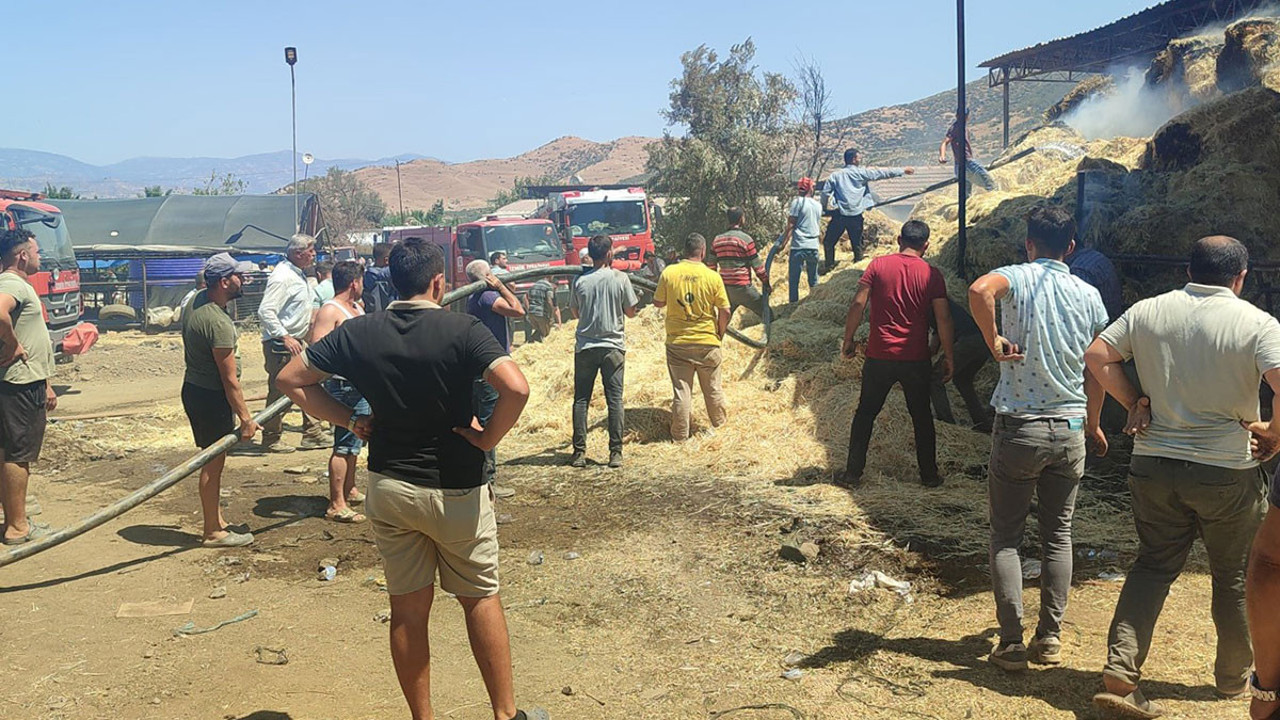 İzmir'deki çiftlik yangınında çok sayıda büyükbaş hayvan öldü