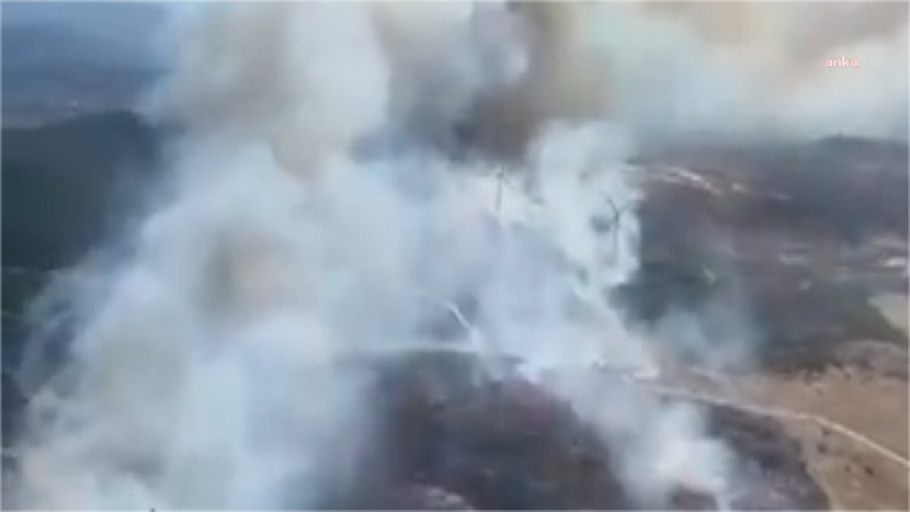 Soma'daki orman yangını kontrol altına alındı