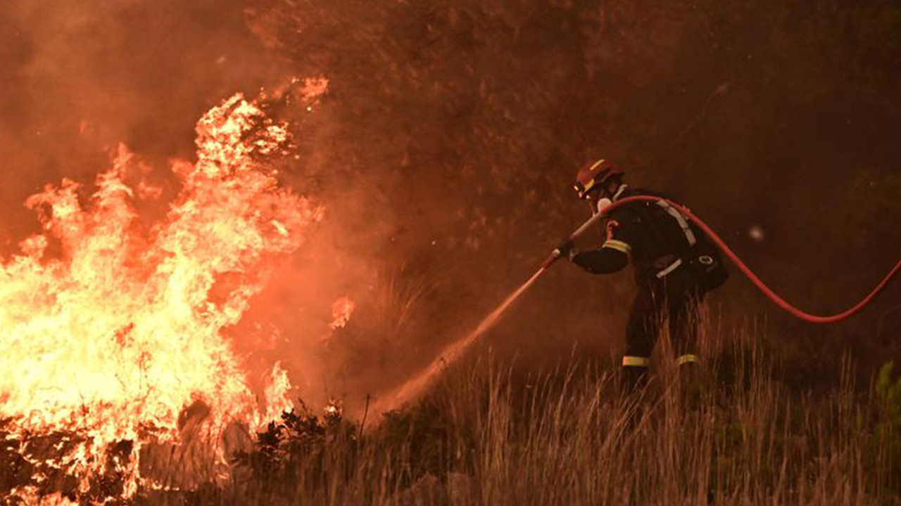 Orman yangınında 550 araç kullanılmaz hale geldi