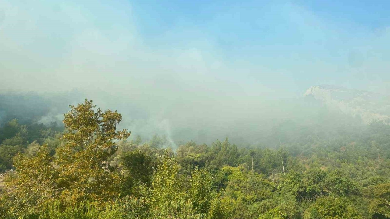 Bakan Yumaklı'dan orman yangını açıklaması