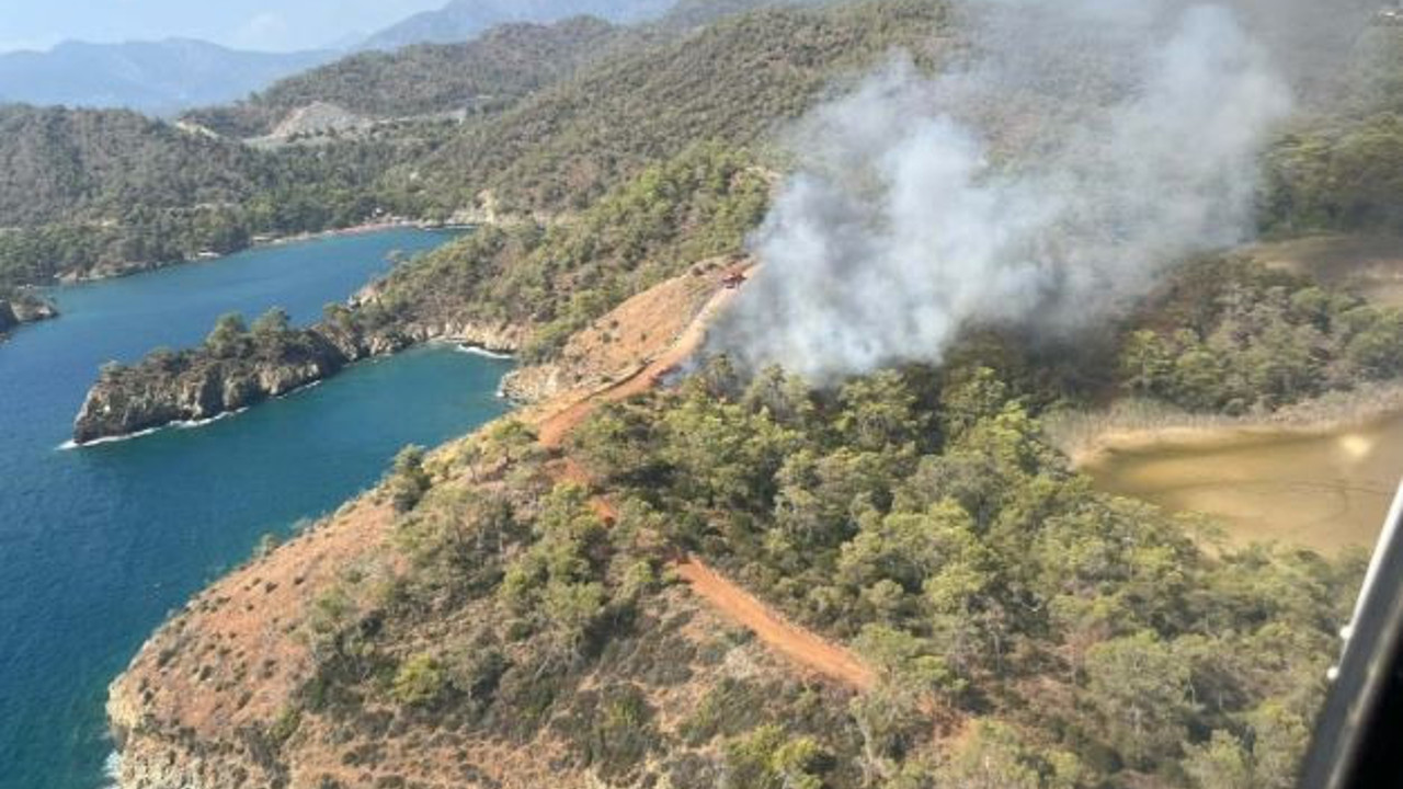 Fethiye'de orman yangını! Ciğerlerimiz yanıyor