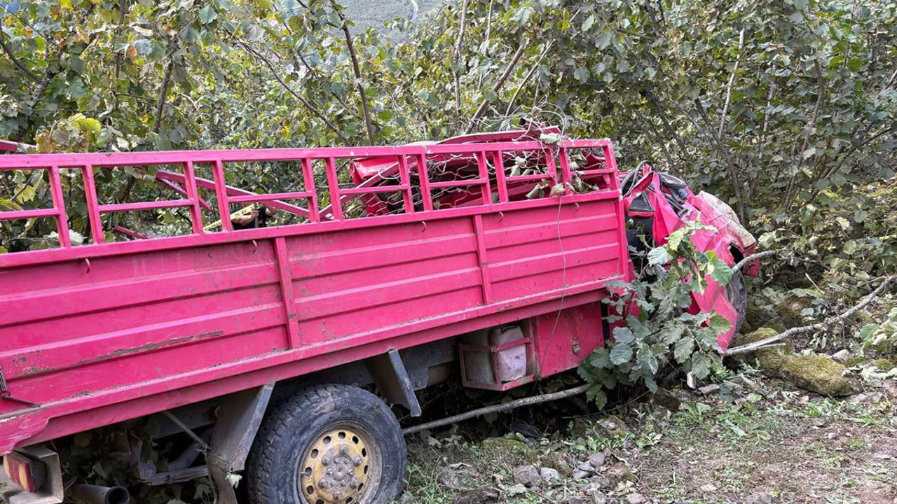 Fındık bahçesinde can pazarı. Kamyonet bahçeye devrildi