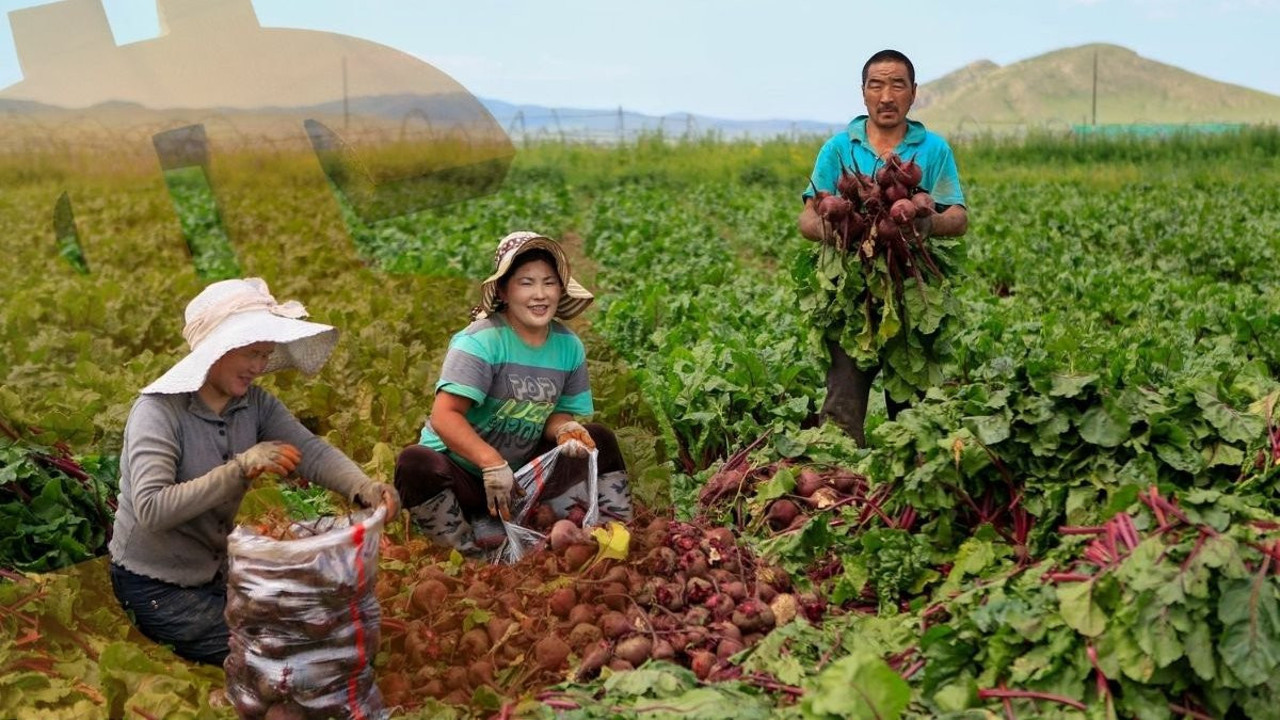 Tarım Moğol ekonomisini sırtladı