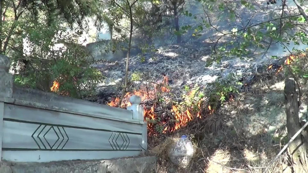 Tokat'taki orman yangını kontrol altına alındı