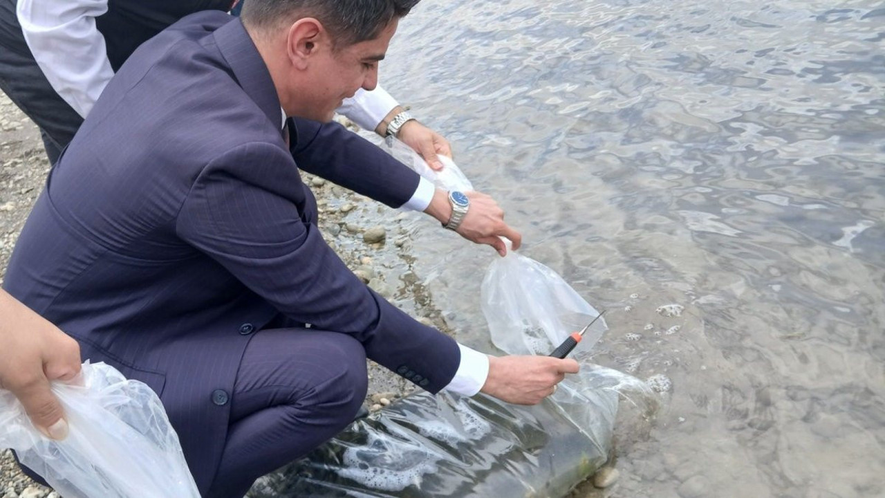 Uluköy Barajı’na 25 bin aynalı sazan bırakıldı