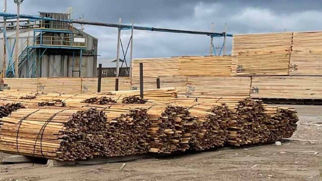 Kereste fiyatları çakıldı: Talep zayıf, stoklar yükseliyor