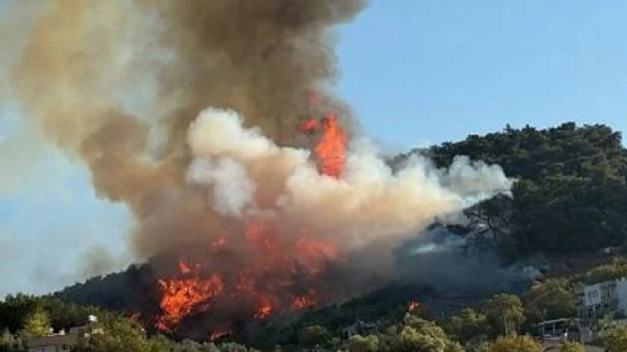 İznik’te orman yangını