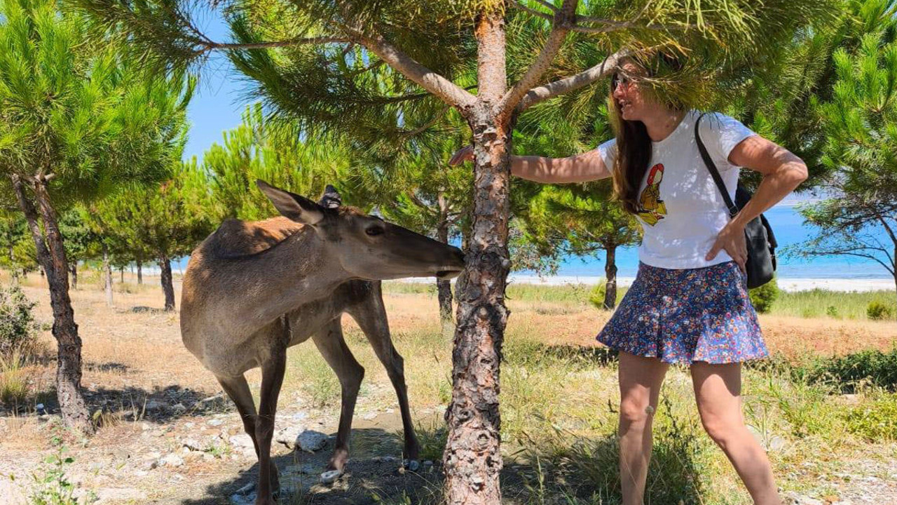 Salda Gölü’nde eşsiz an! Geyik piknik alanında ziyaretçilerin ilgisini çekiyor