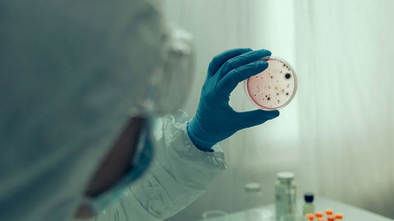 DSÖ'den salgın alarmı! Sudan bulaşıyor, ölüme götürüyor