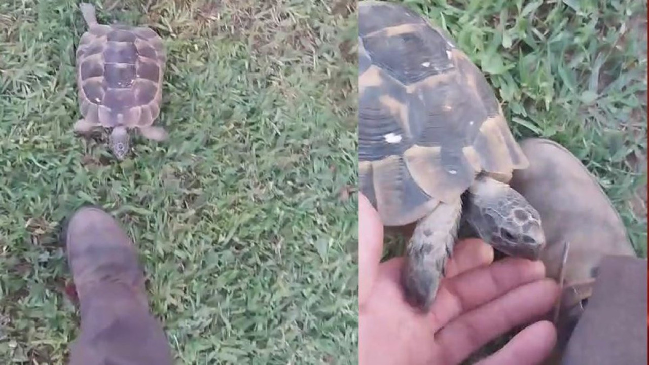 Rıfkı peşini bırakmadı: Yürek ısıtan dostluk!