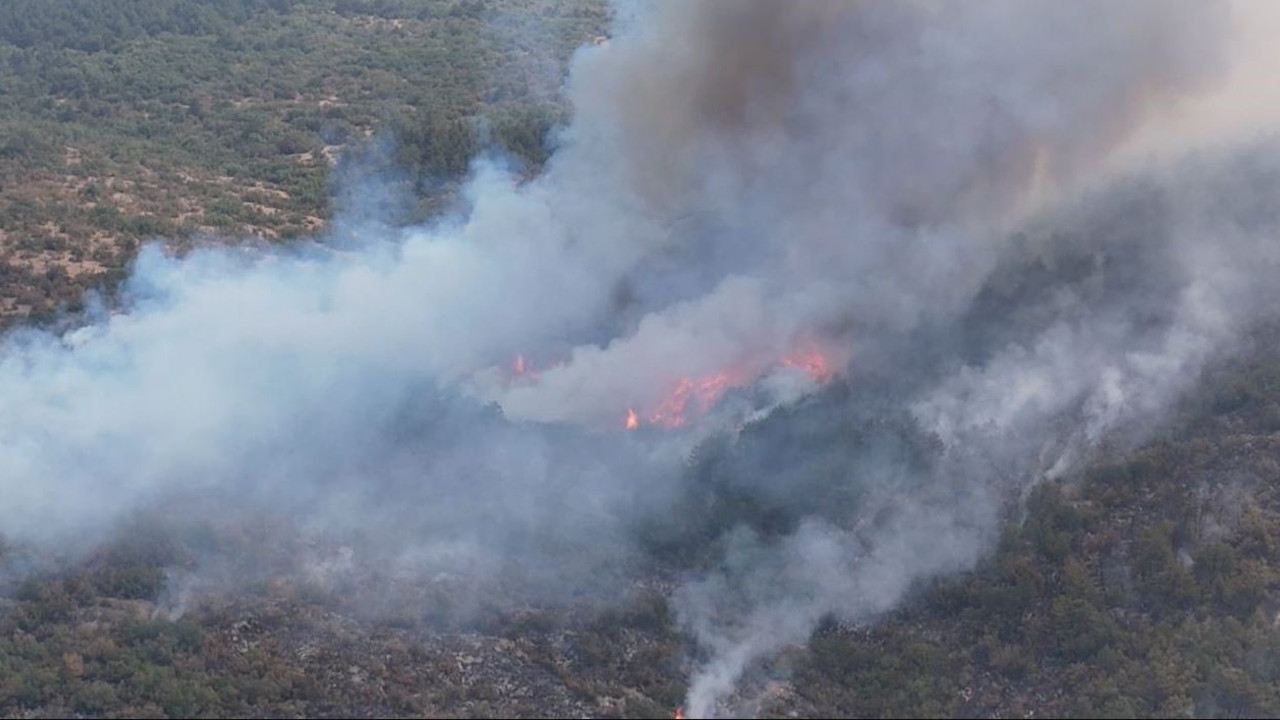 Karabük’teki yangınla ilgili 5 kişi gözaltına alındı