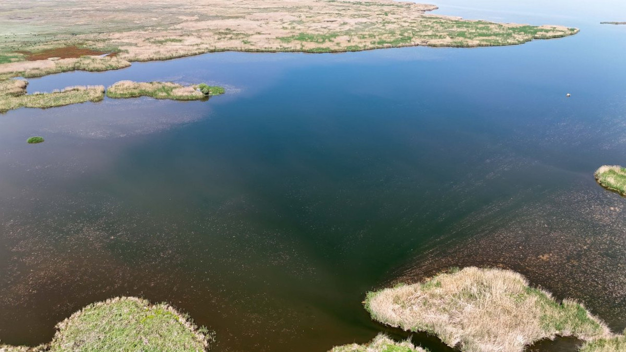 Türkiye'nin cennet yerine girişler yasaklandı! Göçmen kuşlarının durağı olarak biliniyor! Valilik duyurdu