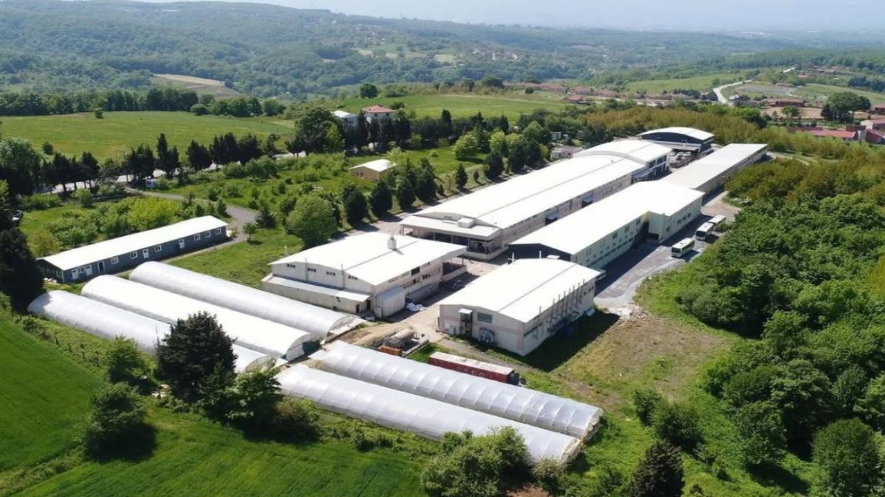 Türkiye'nin 32 yıllık giyim devi iflasın pençesinde. Başarı ödülü kazanmıştı