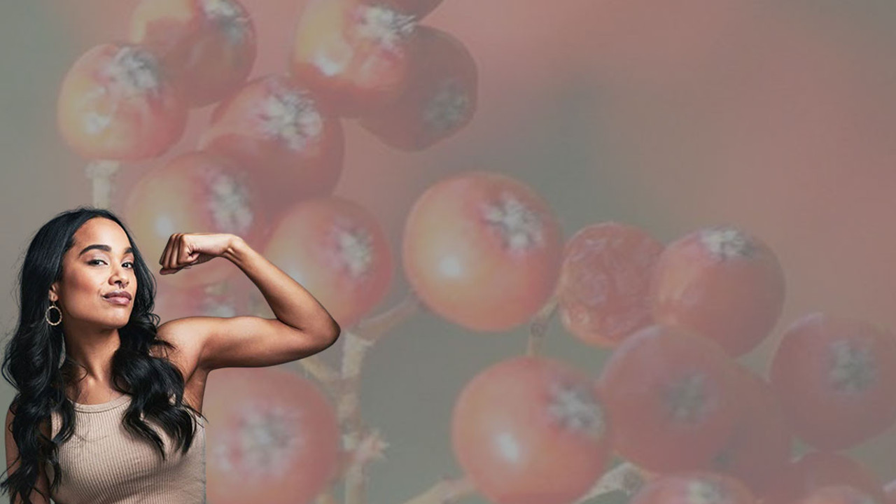 Karadeniz’in sırrı bir avuçla vücudu yeniliyor! Sağlık bombasının şaşırtıcı faydaları saymakla bitmiyor