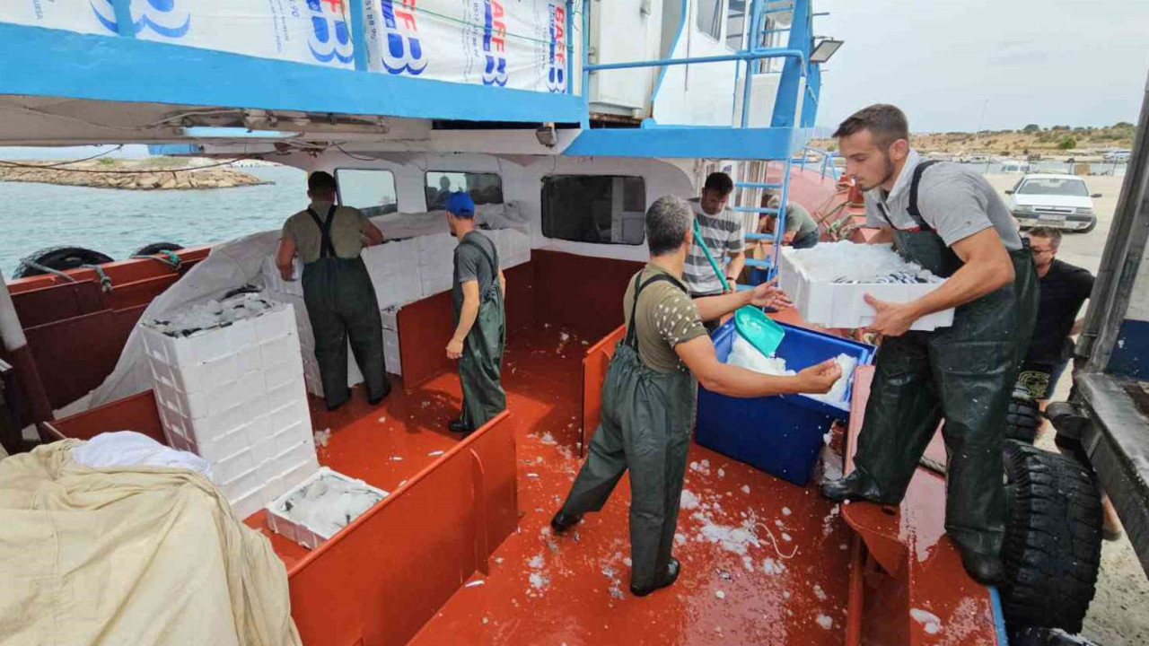 Balık fiyatları ile ilgili sevindiren haber: 1 ay sonra ucuzlayacak!