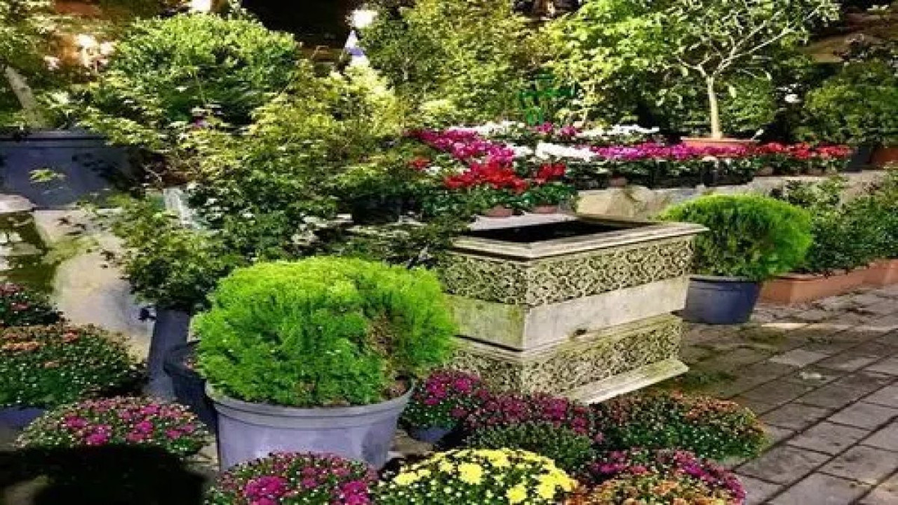 Şifa veren botanik bahçeleri! İyileşme sürecinde doğa mucizesi